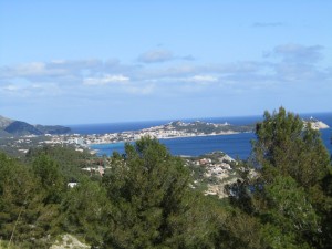 IMG_4465 (Medium)